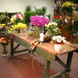 flowers sydney